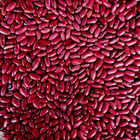 HARICOTS - harry'zBOUTIQUE