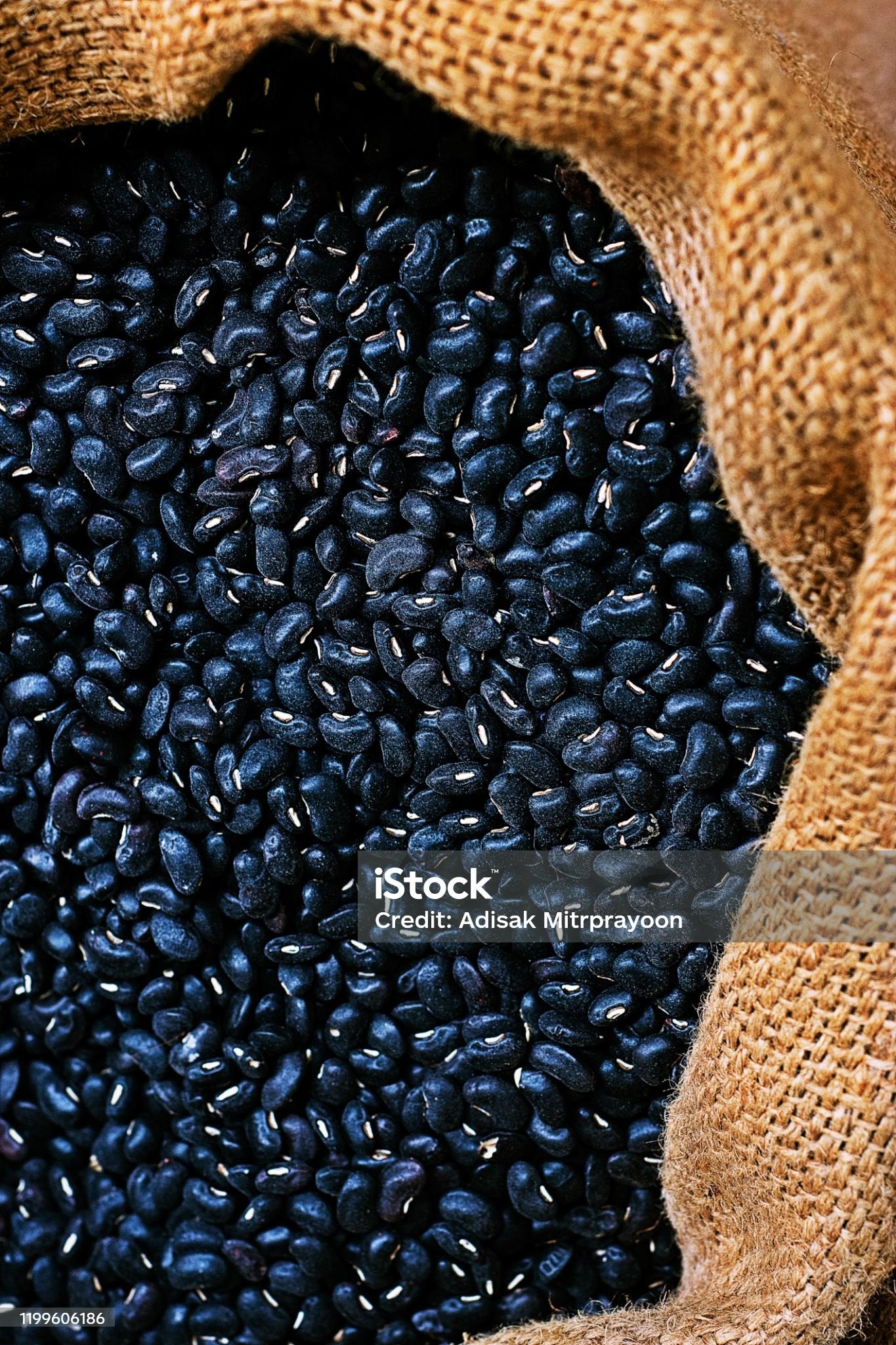 HARICOTS - harry'zBOUTIQUE