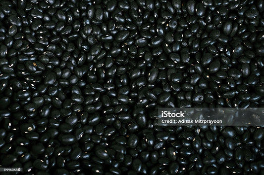 HARICOTS - harry'zBOUTIQUE