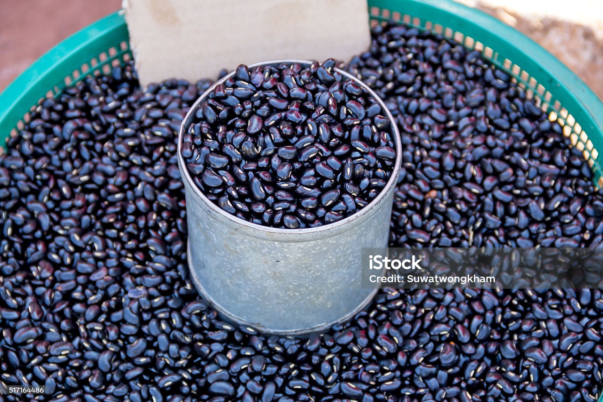 HARICOTS - harry'zBOUTIQUE