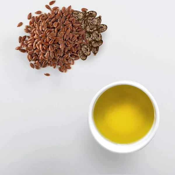 GEL ECO - harry'zBOUTIQUE